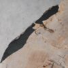 Coffee table petrified wood 53461