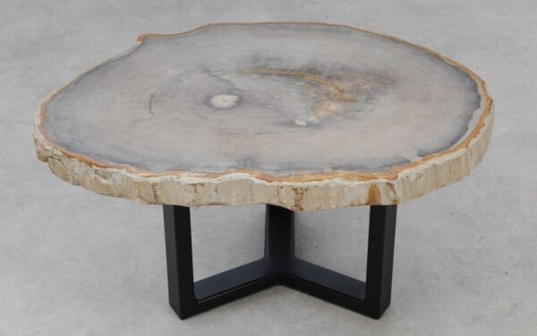 Coffee table petrified wood 53462