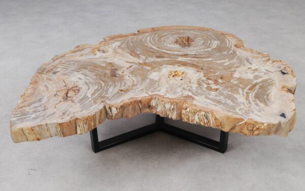 Coffee table petrified wood 53464