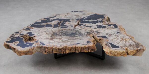 Coffee table petrified wood 53470