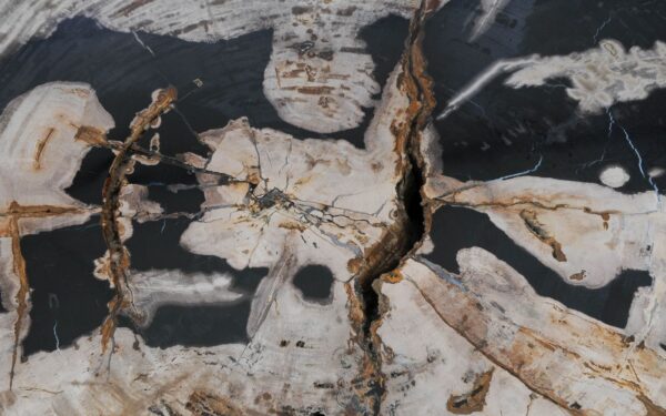 Coffee table petrified wood 53470