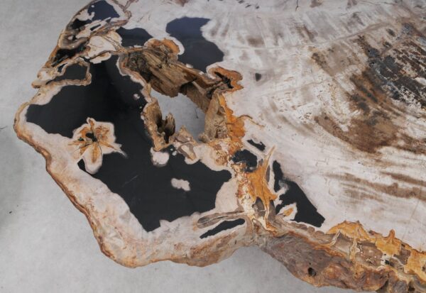 Coffee table petrified wood 53470