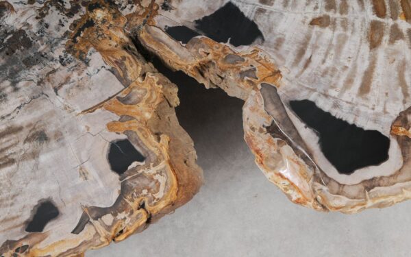 Coffee table petrified wood 53470