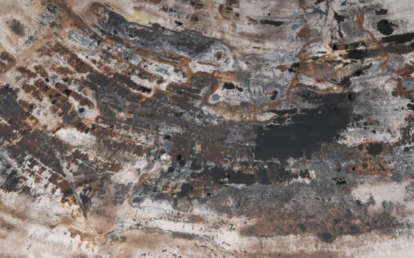 Coffee table petrified wood 53470