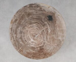 Coffee table petrified wood 53471