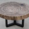 Coffee table petrified wood 53471