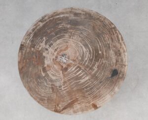 Coffee table petrified wood 53472