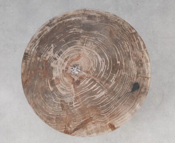 Coffee table petrified wood 53472