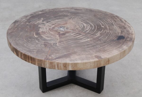 Coffee table petrified wood 53472