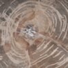 Coffee table petrified wood 53472