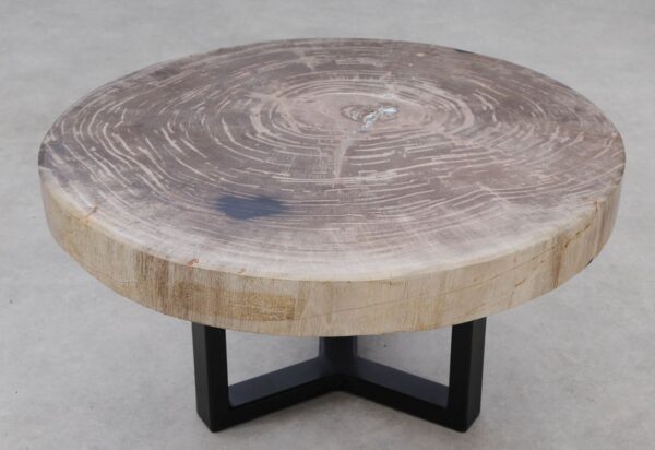 Coffee table petrified wood 53473