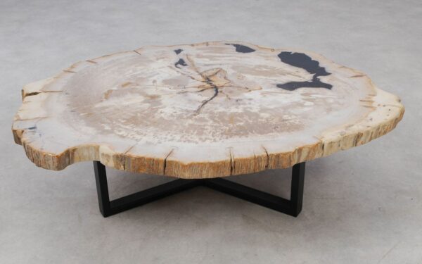 Coffee table petrified wood 53474
