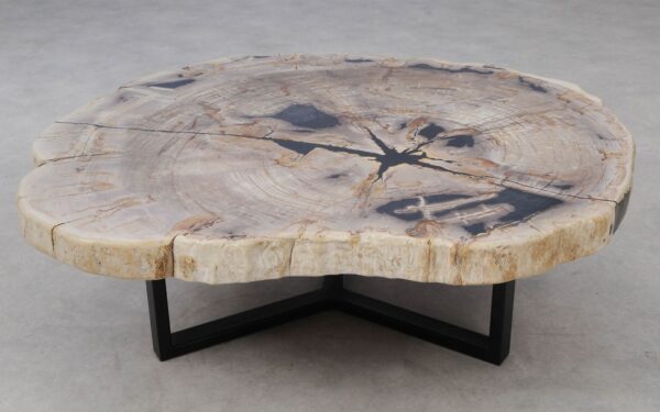 Coffee table petrified wood 53475