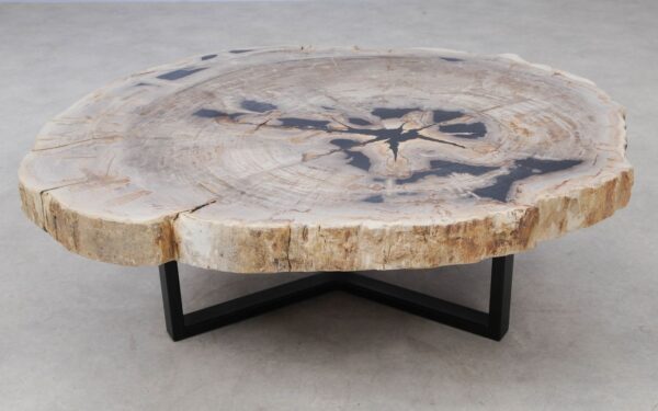 Coffee table petrified wood 53476