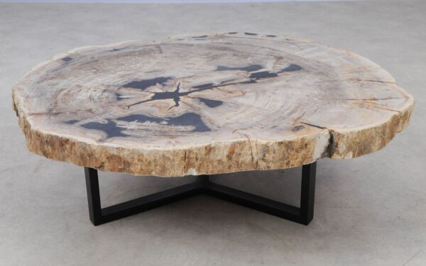Coffee table petrified wood 53477
