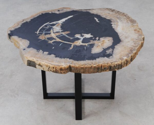 Coffee table petrified wood 53478