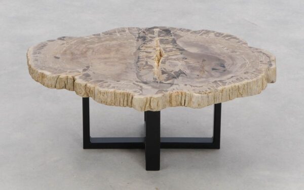 Coffee table petrified wood 46238