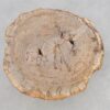 Couchtisch versteinertes Holz 43247