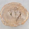 Couchtisch versteinertes Holz 43249
