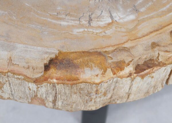 Couchtisch versteinertes Holz 44120