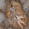 Couchtisch versteinertes Holz 53186