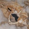 Couchtisch versteinertes Holz 53187