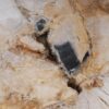 Couchtisch versteinertes Holz 53191
