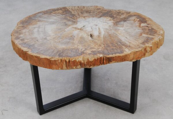 Couchtisch versteinertes Holz 53195