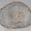 Couchtisch versteinertes Holz 53221