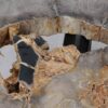 Couchtisch versteinertes Holz 53223