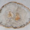 Couchtisch versteinertes Holz 53224