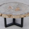 Couchtisch versteinertes Holz 53224