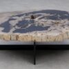 Couchtisch versteinertes Holz 53281