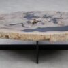 Couchtisch versteinertes Holz 53281
