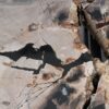 Couchtisch versteinertes Holz 53282