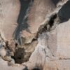 Couchtisch versteinertes Holz 53282