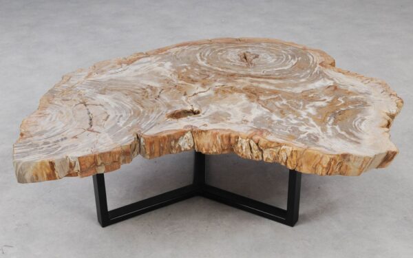 Couchtisch versteinertes Holz 53283