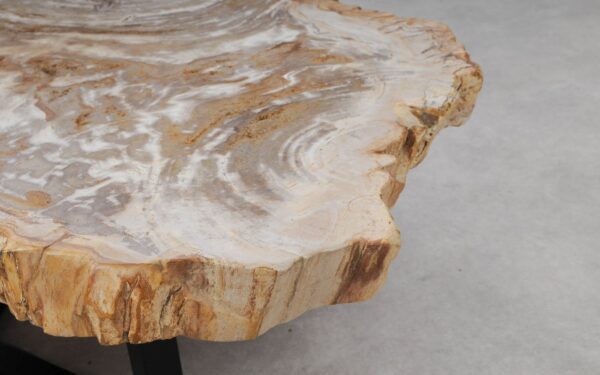 Couchtisch versteinertes Holz 53283