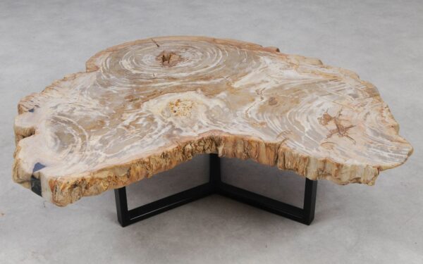 Couchtisch versteinertes Holz 53284