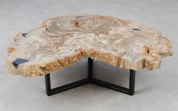 Couchtisch versteinertes Holz 53285