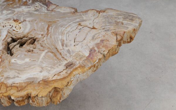 Couchtisch versteinertes Holz 53288