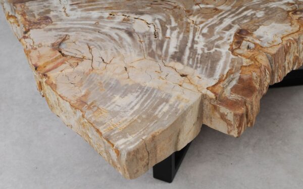 Couchtisch versteinertes Holz 53291