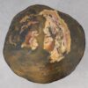 Couchtisch versteinertes Holz 53338
