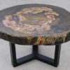 Couchtisch versteinertes Holz 53341