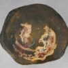 Couchtisch versteinertes Holz 53352