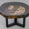 Couchtisch versteinertes Holz 53352