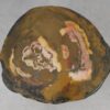 Couchtisch versteinertes Holz 53354