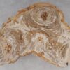 Couchtisch versteinertes Holz 53464