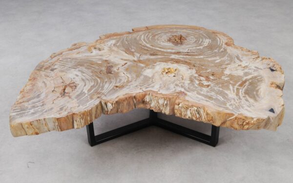 Couchtisch versteinertes Holz 53464