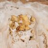 Couchtisch versteinertes Holz 53464